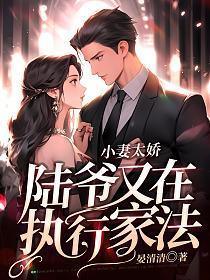 小妻太娇,陆爷又在执行家法