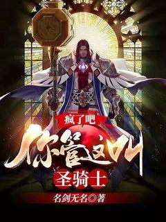疯了吧,你管这叫圣骑士?
