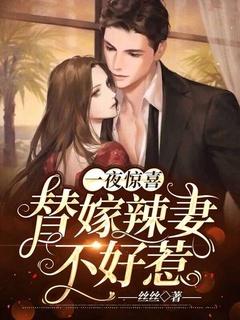 一夜惊喜:替嫁辣妻不好惹