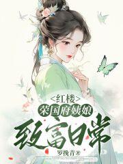红楼:荣国府姨娘致富日常
