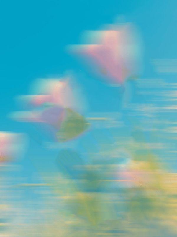 把嫁妆换成假货后，婢女急疯了