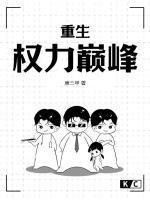 重生:权力巅峰