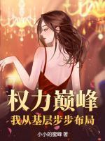 权力巅峰:我从基层步步布局