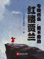 红楼贾兰:今晚省亲,要不要逃?