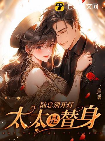 陆总别开灯,太太是替身