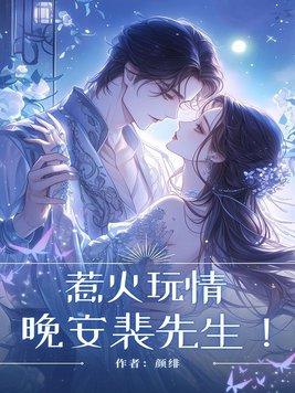 惹火玩情:晚安裴先生!