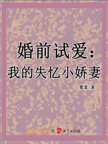 婚前试爱:我的失忆小娇妻