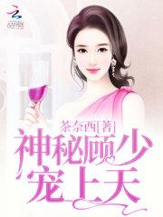 神秘顾少，宠上天